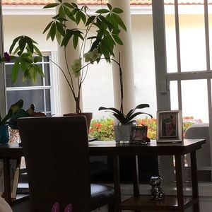 Meet your Posher, Gladys